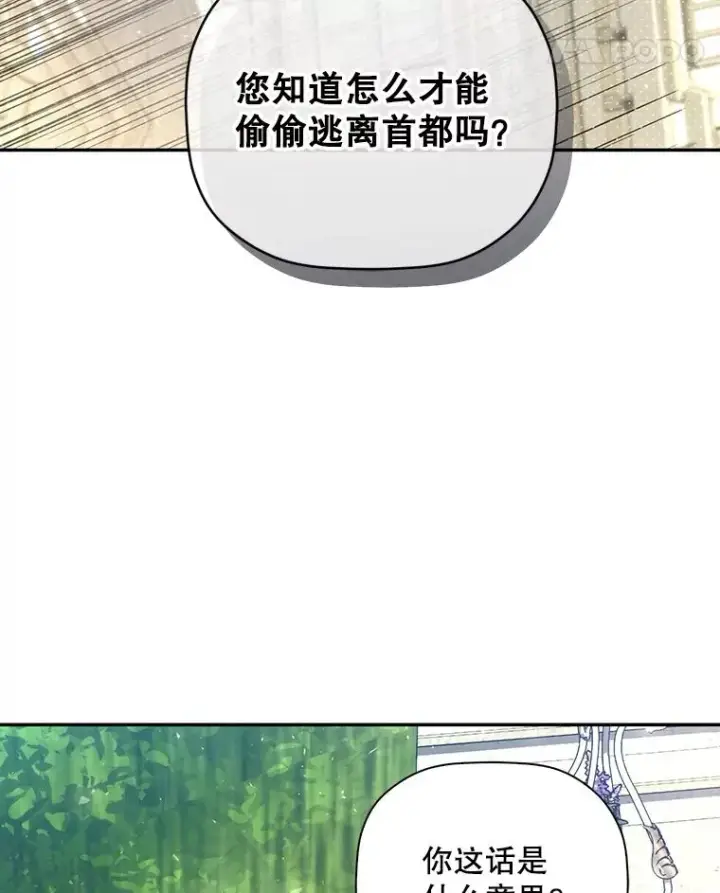 《如何隐藏皇帝的孩子》51.出逃计划图83