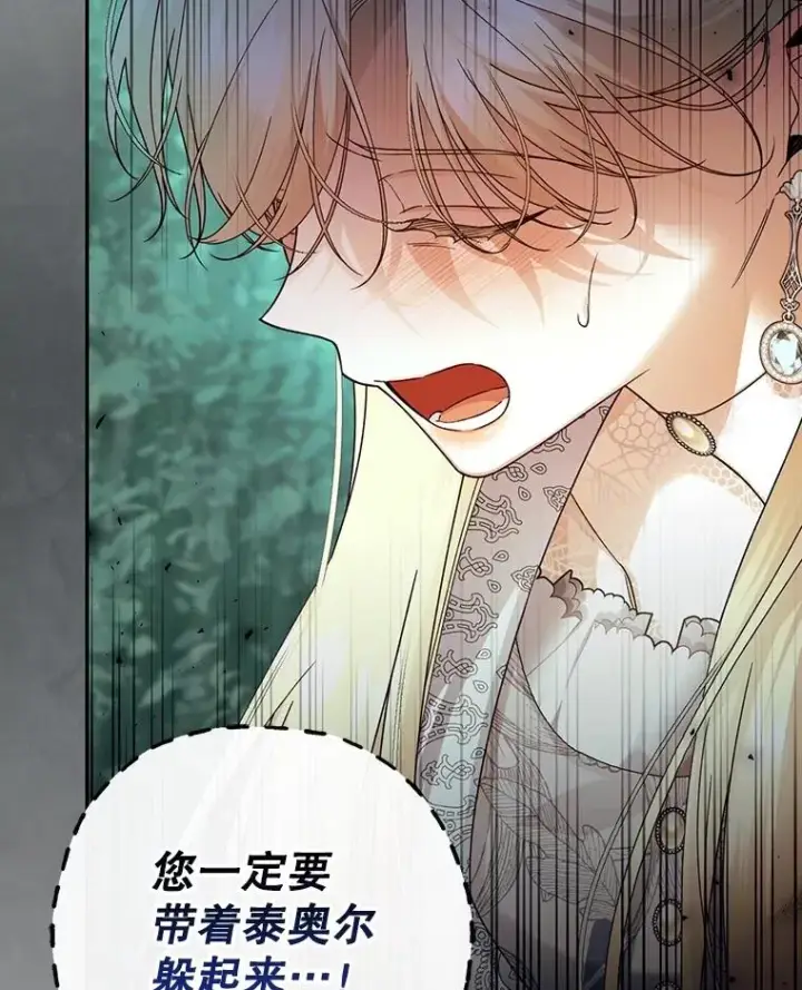 《如何隐藏皇帝的孩子》51.出逃计划图95
