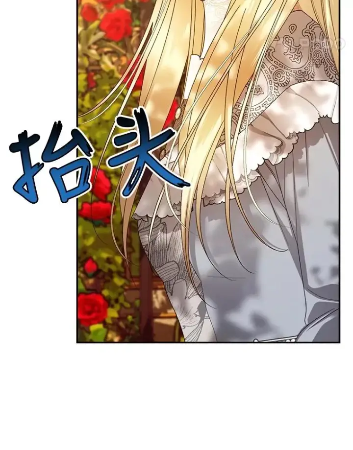 《如何隐藏皇帝的孩子》52.不详的预感图11