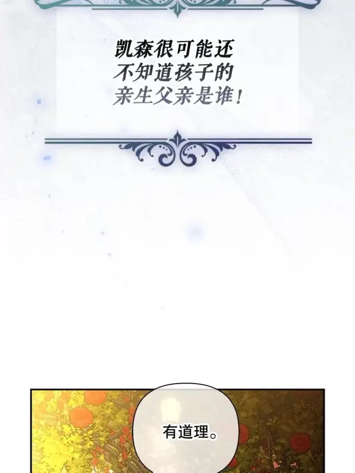 《如何隐藏皇帝的孩子》52.不详的预感图18