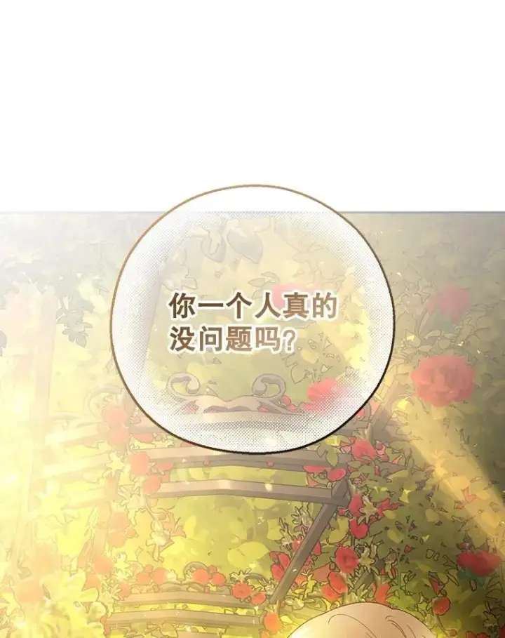 《如何隐藏皇帝的孩子》52.不详的预感图26