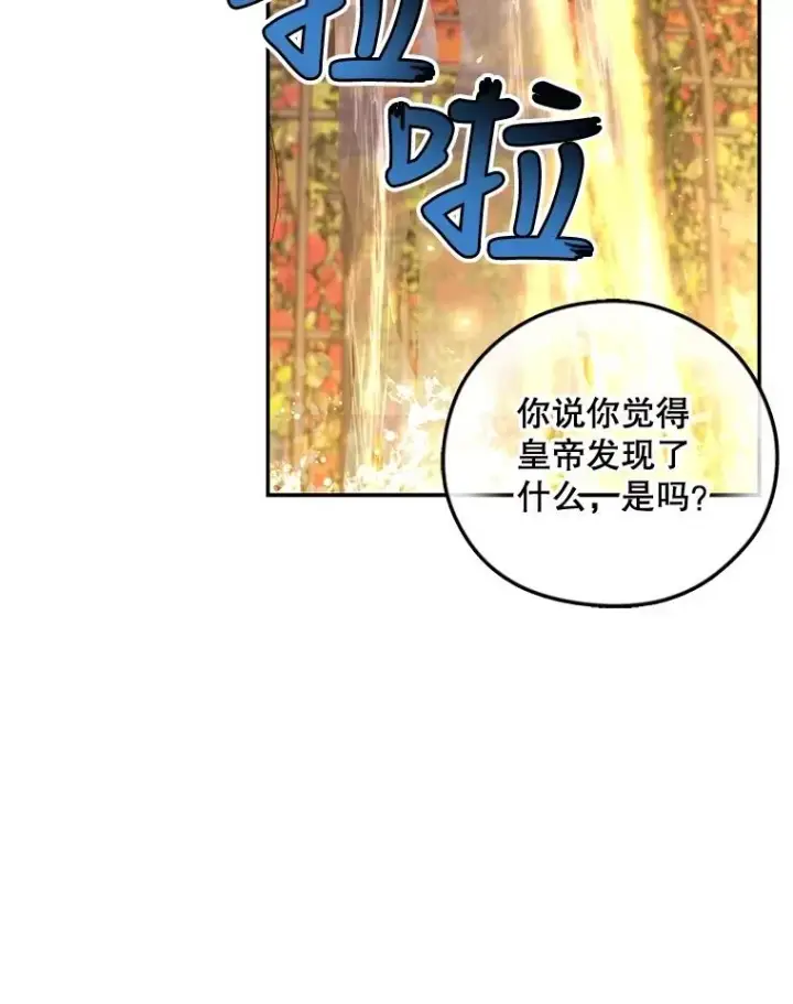 《如何隐藏皇帝的孩子》52.不详的预感图3