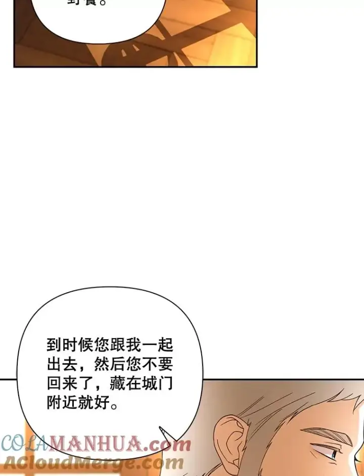 《如何隐藏皇帝的孩子》52.不详的预感图49
