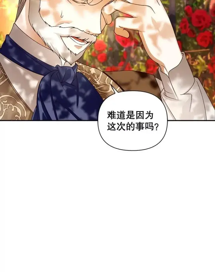 《如何隐藏皇帝的孩子》52.不详的预感图6