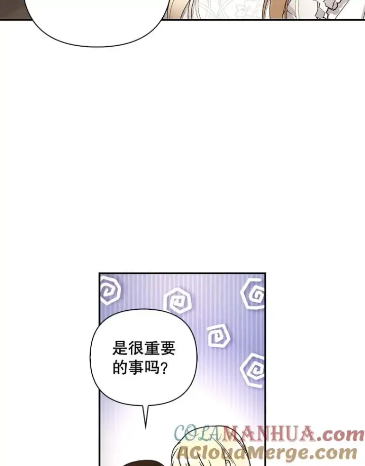 《如何隐藏皇帝的孩子》52.不详的预感图69