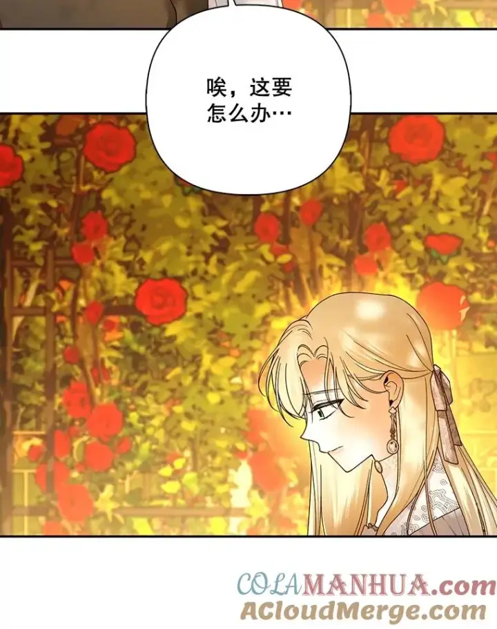 《如何隐藏皇帝的孩子》52.不详的预感图9