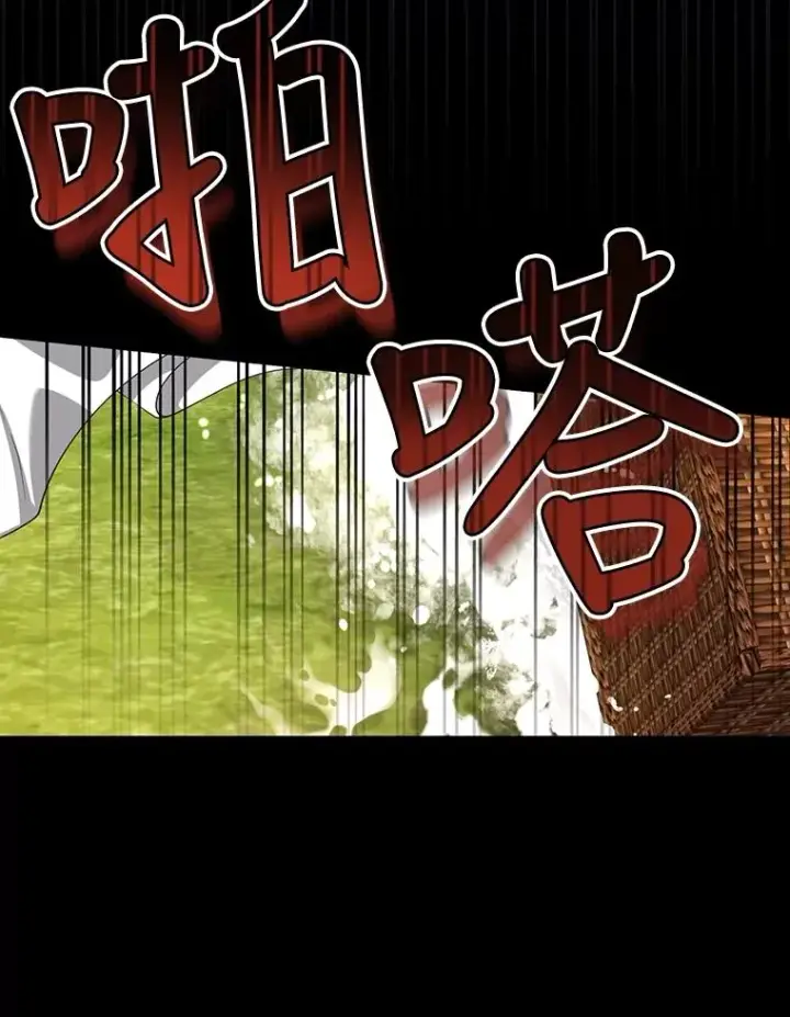 《如何隐藏皇帝的孩子》52.不详的预感图94