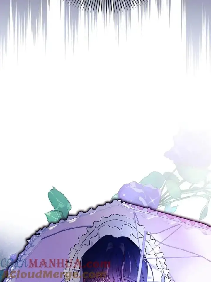 《如何隐藏皇帝的孩子》52.不详的预感图97