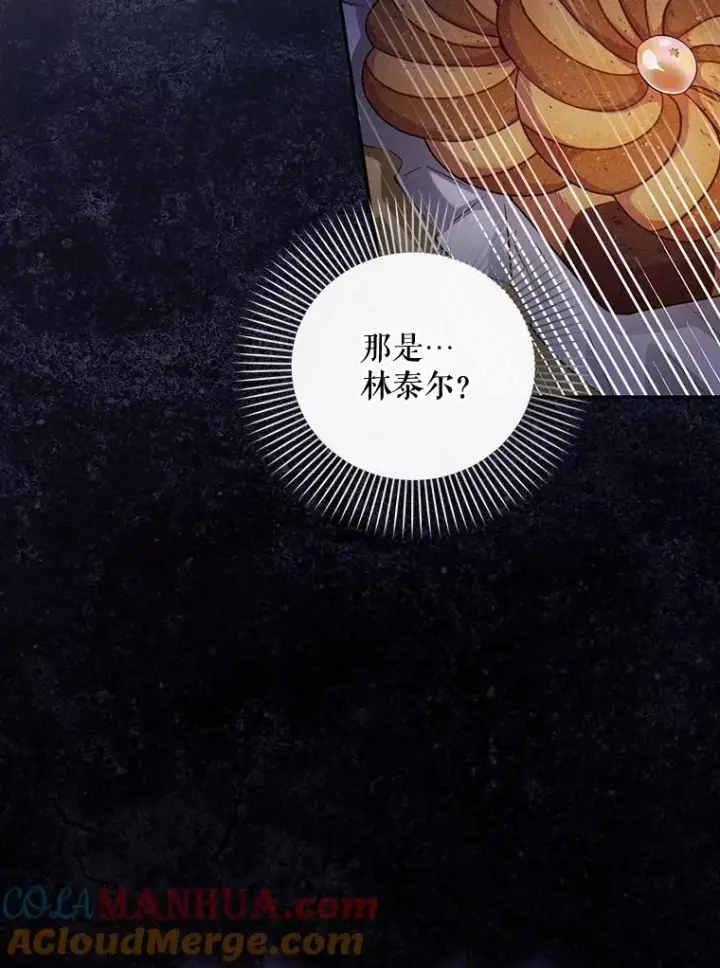 《如何隐藏皇帝的孩子》53.尾随者图33