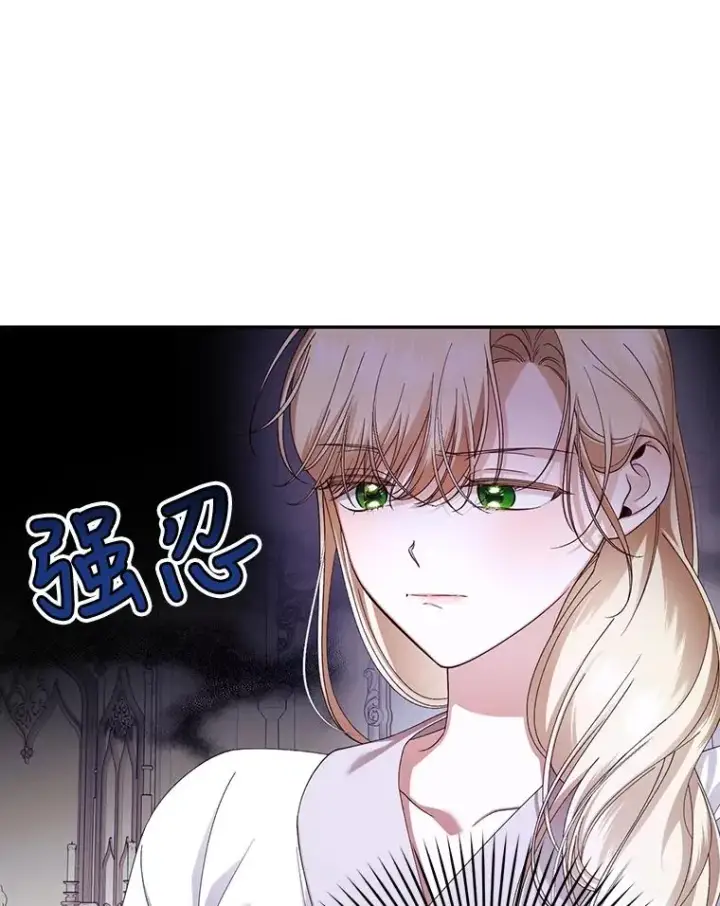 《如何隐藏皇帝的孩子》54.舞会当天图19