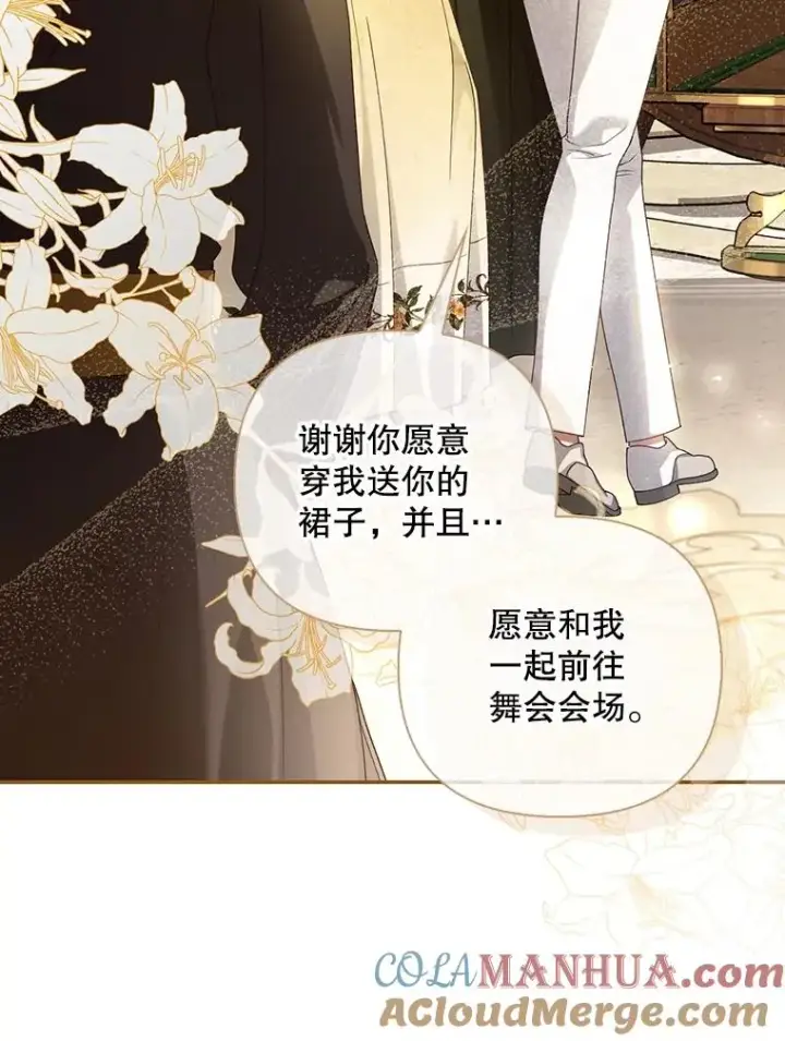 《如何隐藏皇帝的孩子》54.舞会当天图45