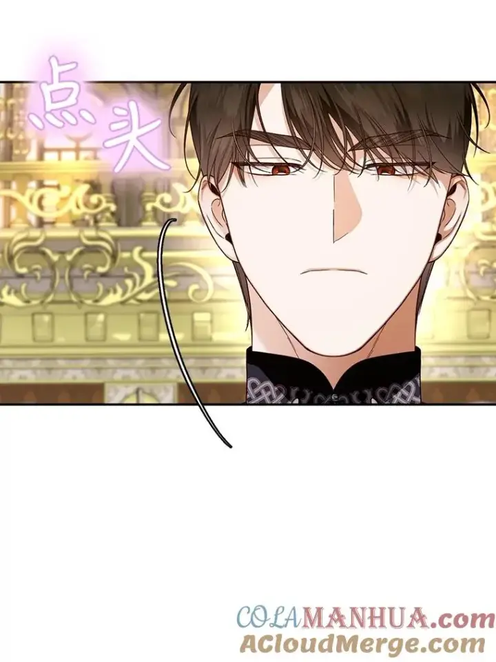《如何隐藏皇帝的孩子》54.舞会当天图73