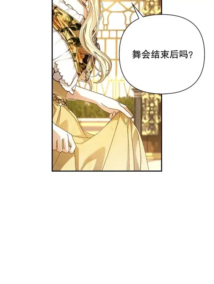 《如何隐藏皇帝的孩子》54.舞会当天图75