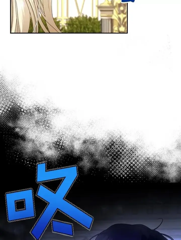 《如何隐藏皇帝的孩子》54.舞会当天图78