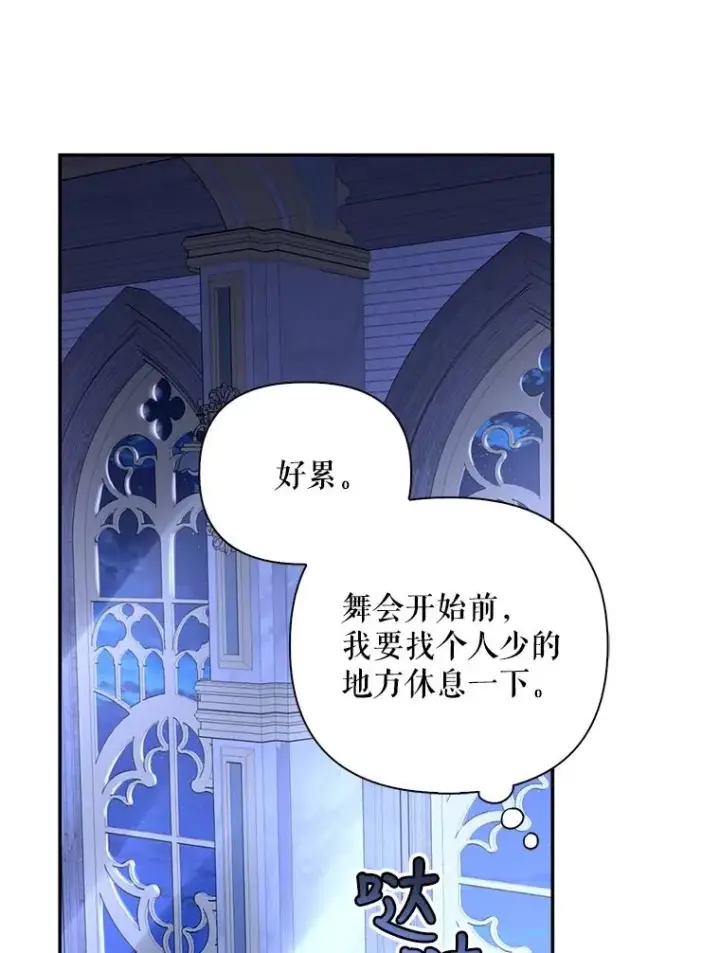 《如何隐藏皇帝的孩子》54.舞会当天图94