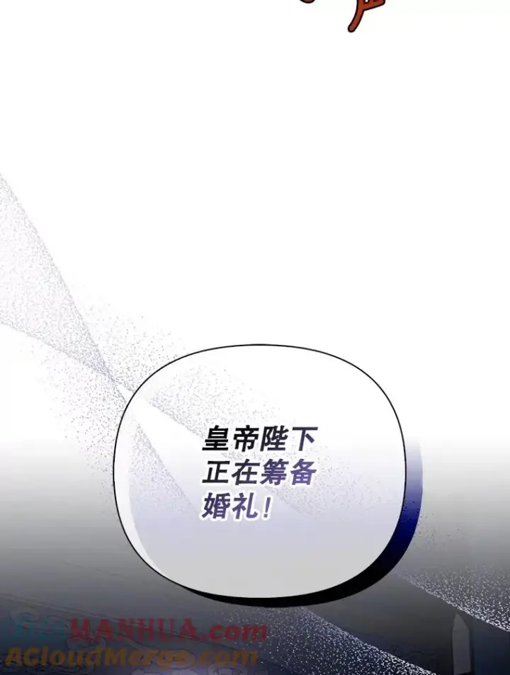 《如何隐藏皇帝的孩子》54.舞会当天图97