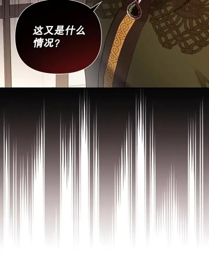 《如何隐藏皇帝的孩子》55.关心图86