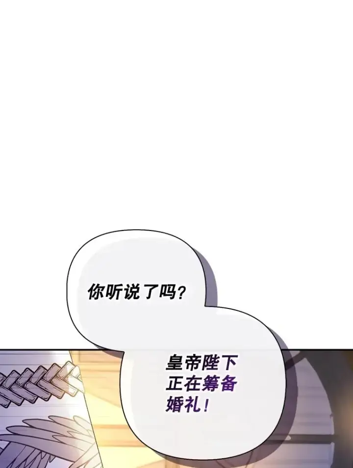 《如何隐藏皇帝的孩子》56.晴天霹雳图34