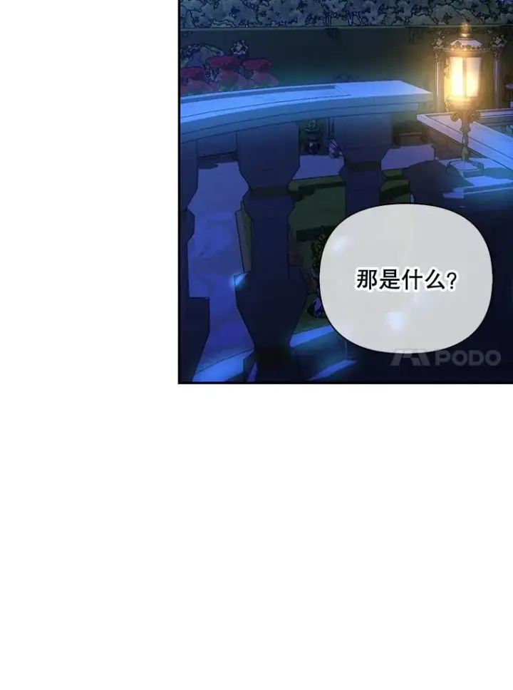 《如何隐藏皇帝的孩子》56.晴天霹雳图46