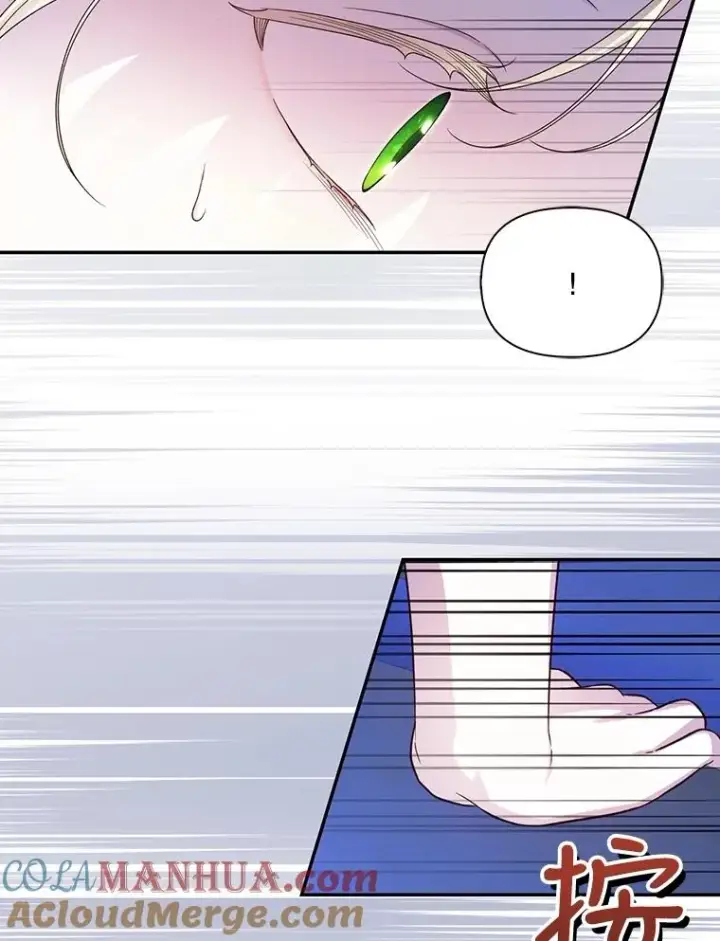 《如何隐藏皇帝的孩子》56.晴天霹雳图65