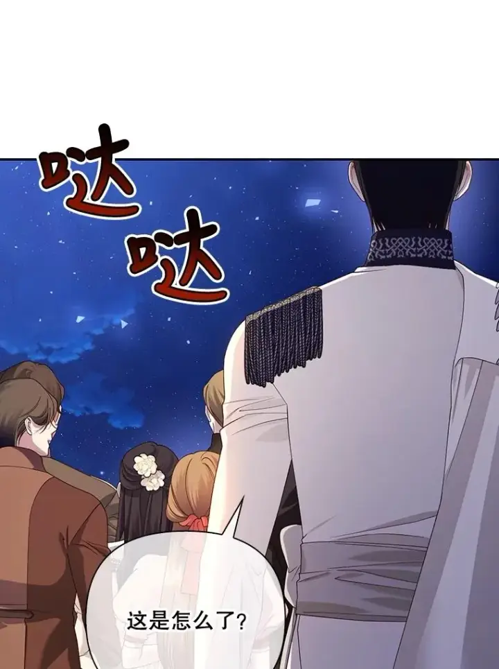 《如何隐藏皇帝的孩子》56.晴天霹雳图88