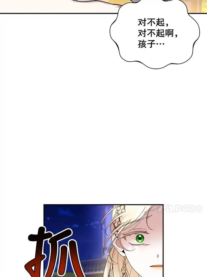 《如何隐藏皇帝的孩子》56.晴天霹雳图99