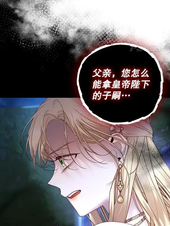 《如何隐藏皇帝的孩子》58.公爵的计划图12