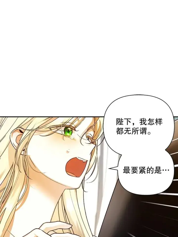 《如何隐藏皇帝的孩子》59.忐忑不安图11