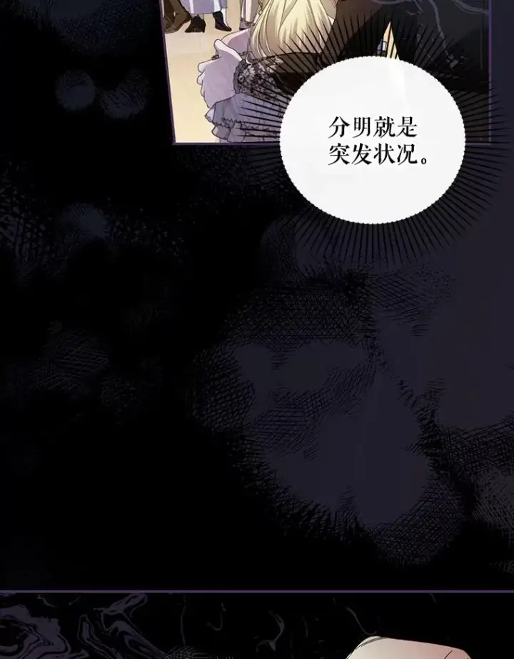 《如何隐藏皇帝的孩子》60.幕后主使图3