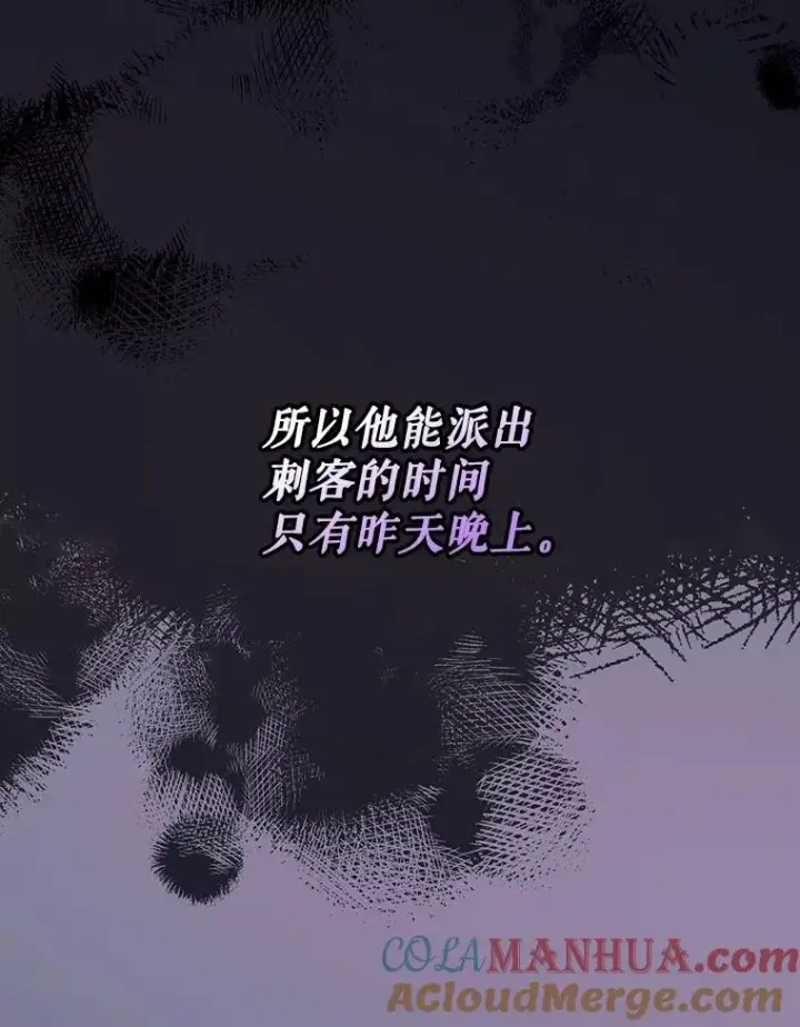 《如何隐藏皇帝的孩子》60.幕后主使图5