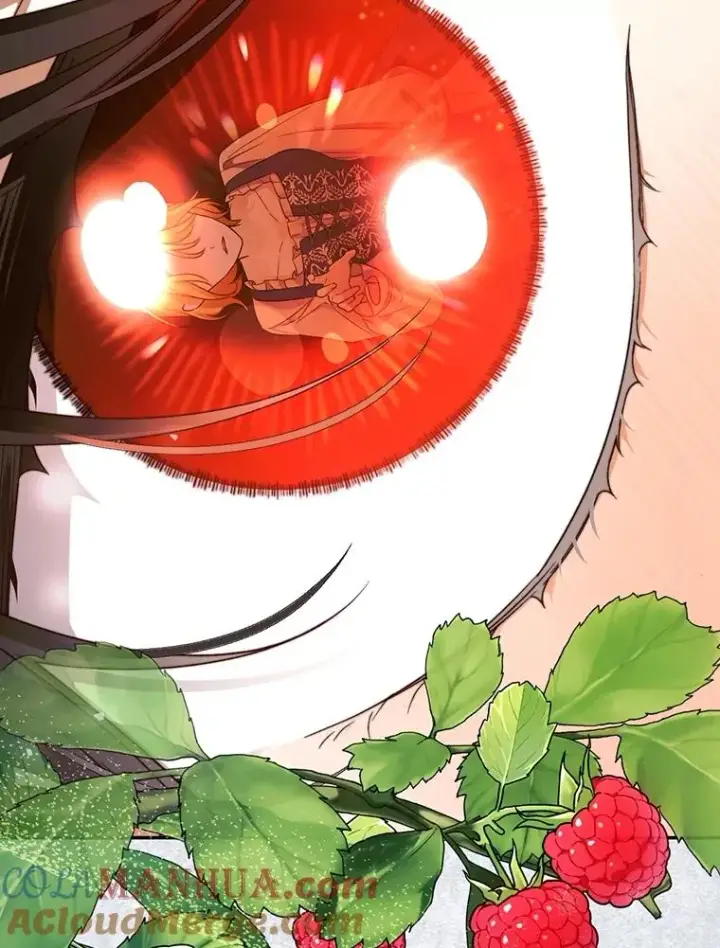 《如何隐藏皇帝的孩子》60.幕后主使图93