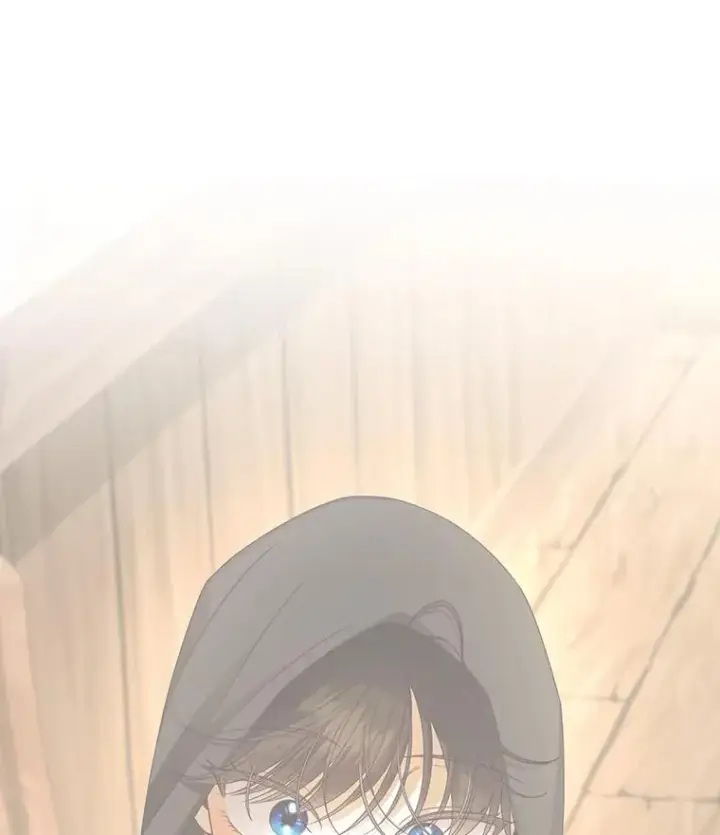 《如何隐藏皇帝的孩子》61.混战图108
