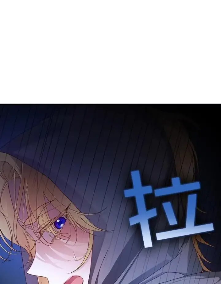 《如何隐藏皇帝的孩子》61.混战图50