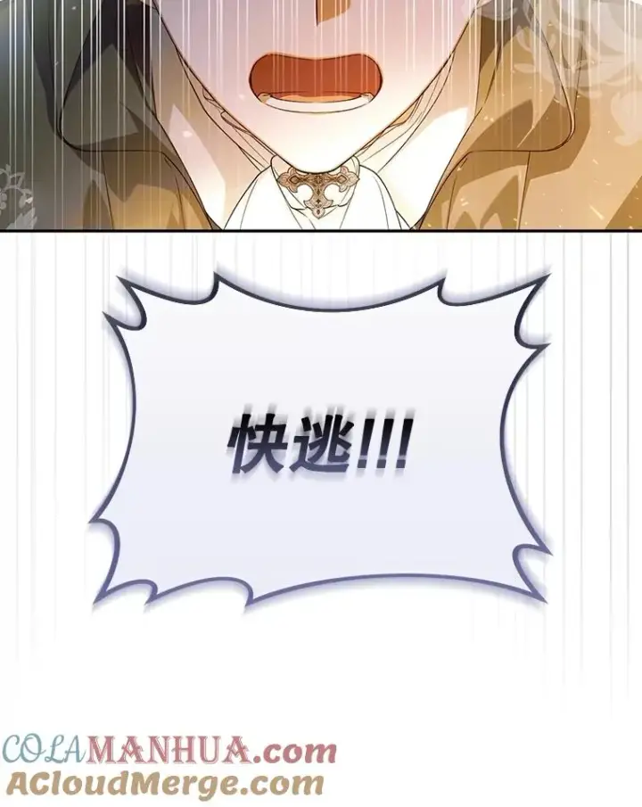 《如何隐藏皇帝的孩子》61.混战图77