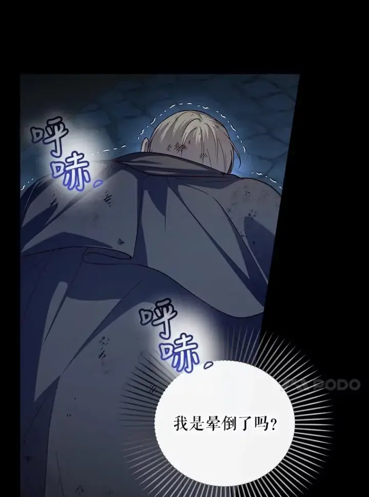 《如何隐藏皇帝的孩子》63.决心图26