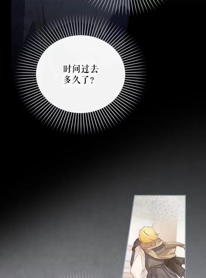 《如何隐藏皇帝的孩子》63.决心图27