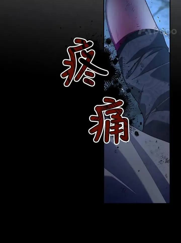 《如何隐藏皇帝的孩子》63.决心图33