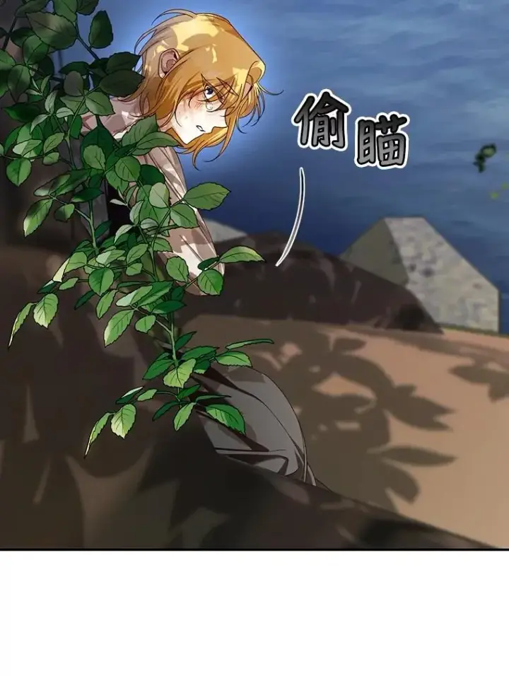 《如何隐藏皇帝的孩子》63.决心图54