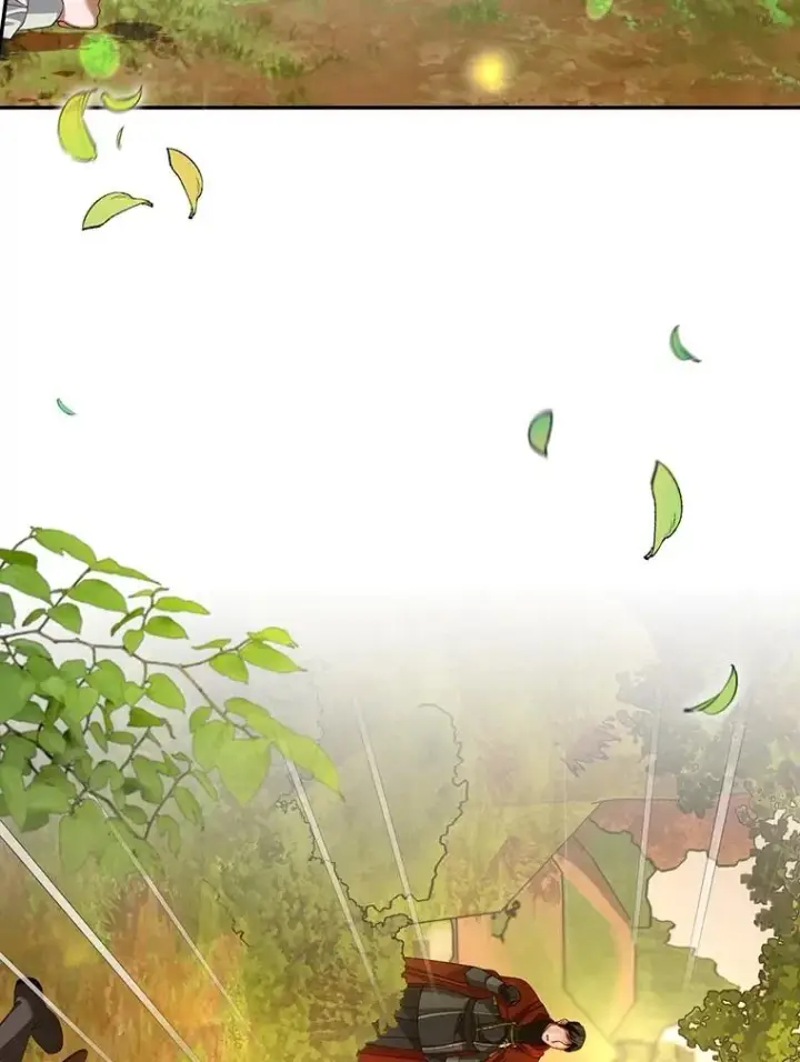 《如何隐藏皇帝的孩子》63.决心图59