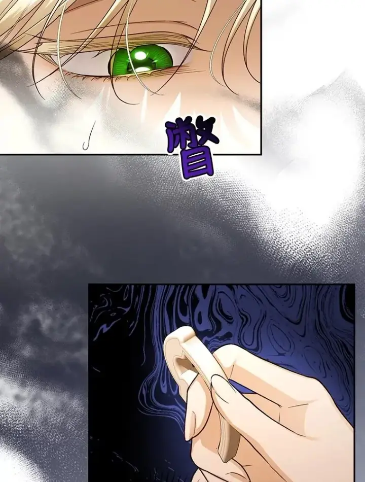 《如何隐藏皇帝的孩子》63.决心图6