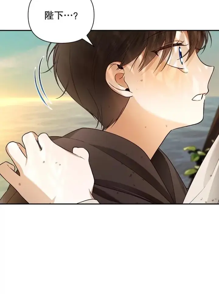 《如何隐藏皇帝的孩子》63.决心图62