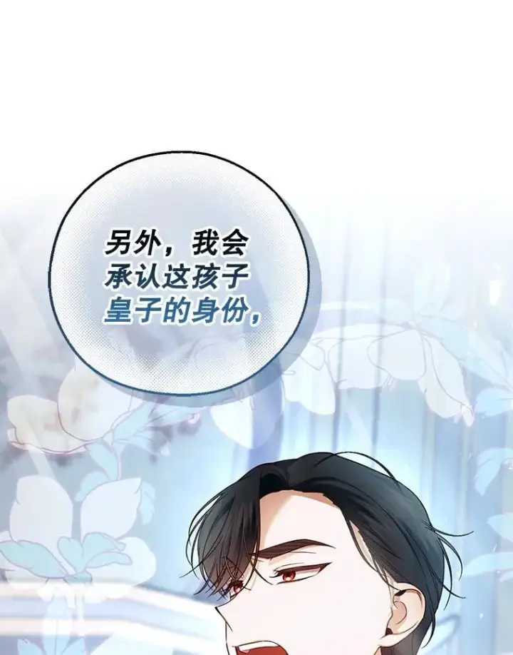 《如何隐藏皇帝的孩子》64.重回皇后之位图100