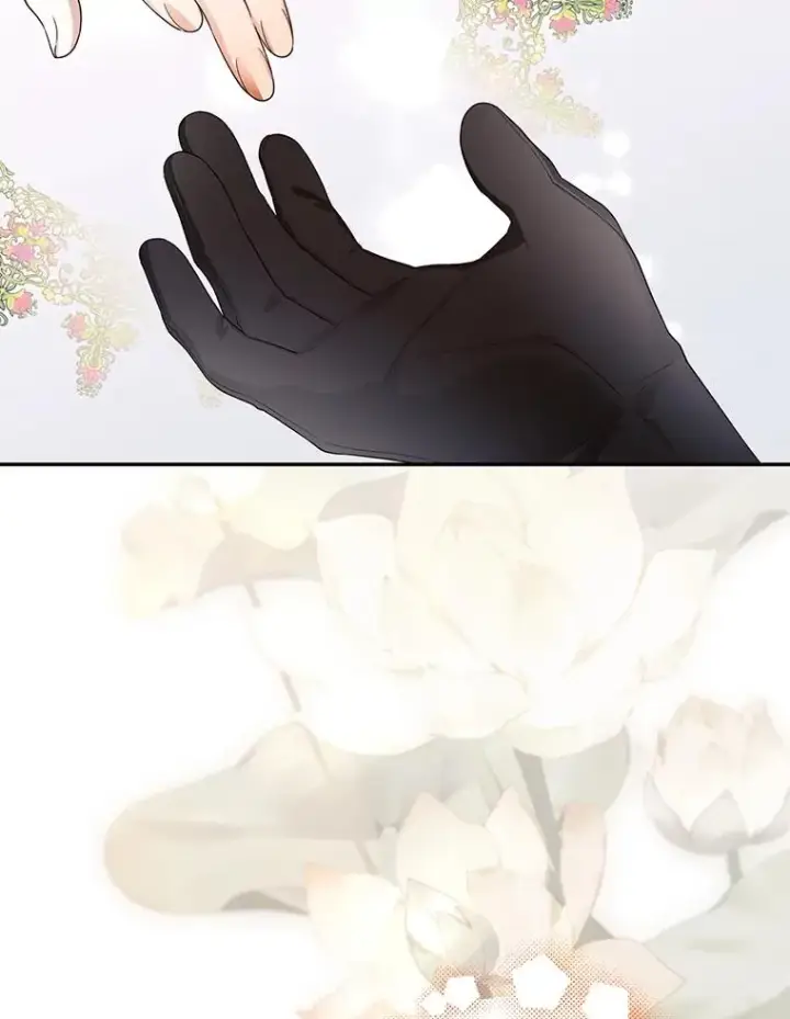 《如何隐藏皇帝的孩子》64.重回皇后之位图39