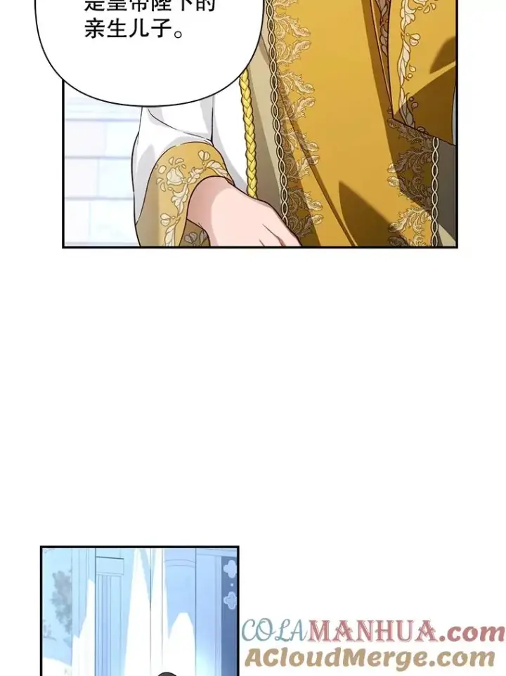 《如何隐藏皇帝的孩子》64.重回皇后之位图97