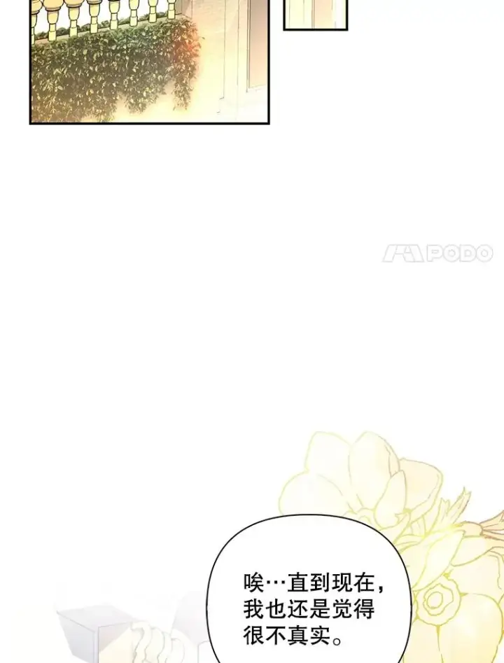 《如何隐藏皇帝的孩子》65.第二次婚礼图24