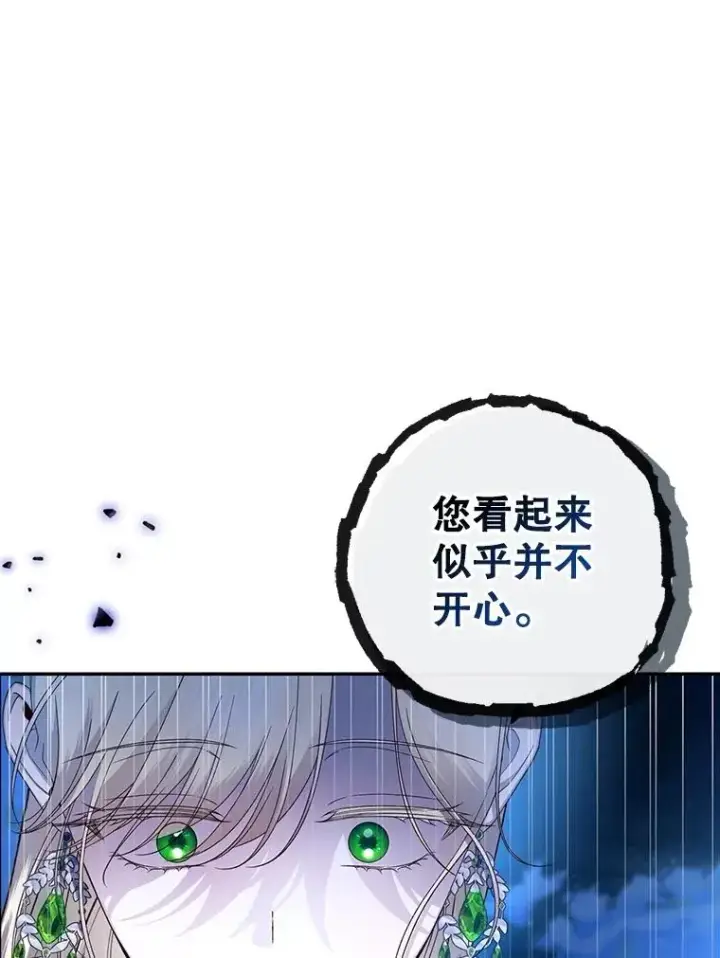 《如何隐藏皇帝的孩子》65.第二次婚礼图66