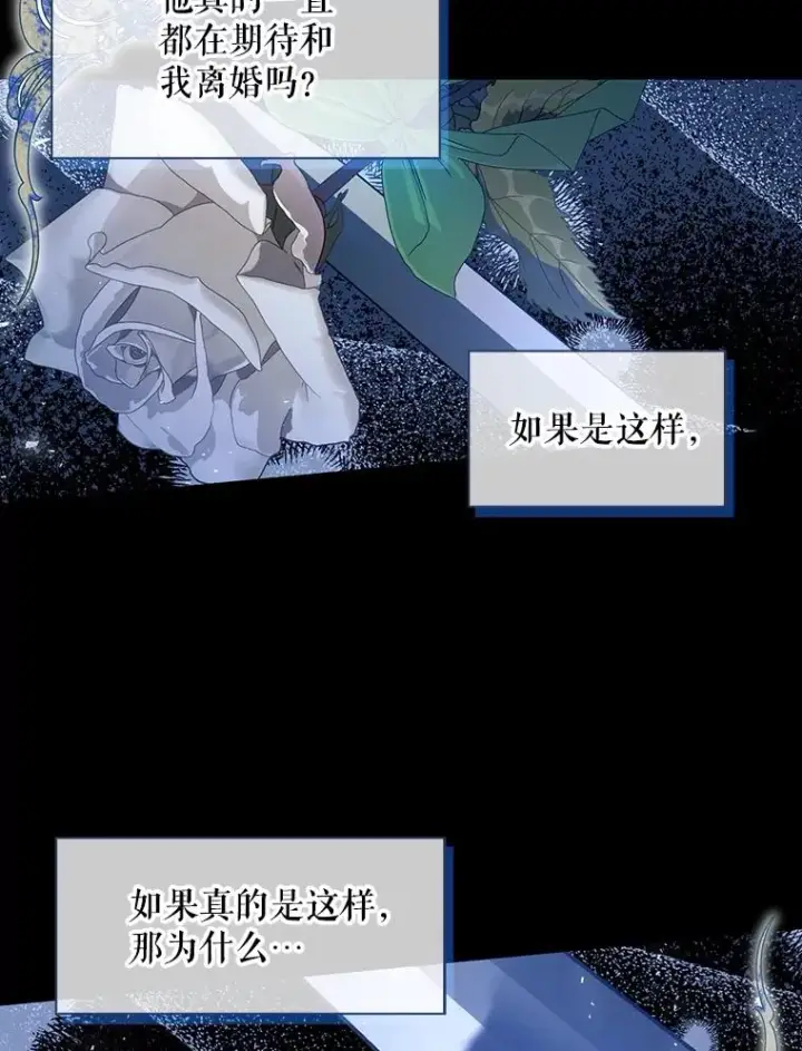 《如何隐藏皇帝的孩子》65.第二次婚礼图94