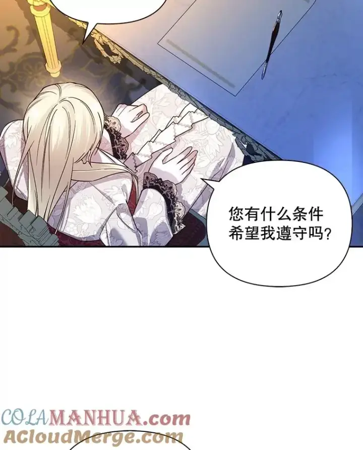《如何隐藏皇帝的孩子》66.谈条件图13