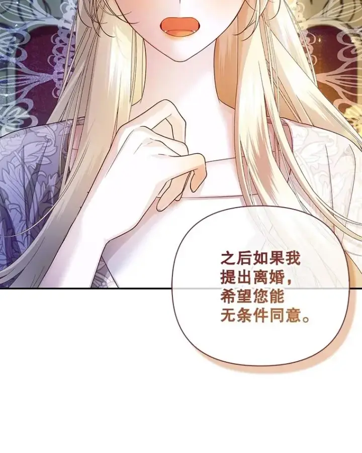 《如何隐藏皇帝的孩子》66.谈条件图20