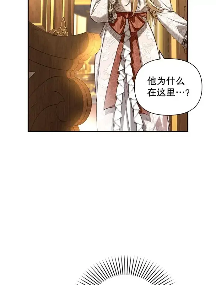 《如何隐藏皇帝的孩子》66.谈条件图96